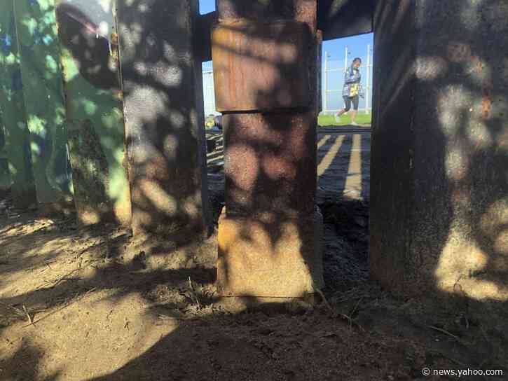Border Patrol allows replanting after bulldozing garden