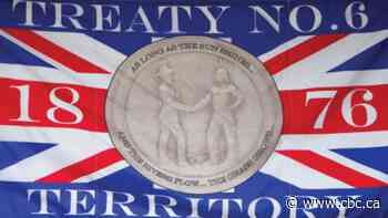 Saskatoon council to vote on installing Treaty 6, Métis flags in chambers