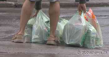 Prince Albert, Sask. could ban single-use plastic bags