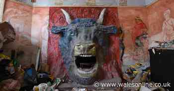 The amazing artwork hidden behind the walls of this otherwise ordinary looking house