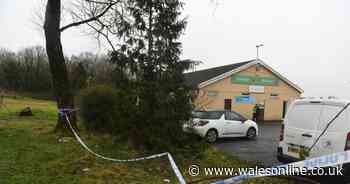 Man allegedly assaulted in Swansea may never 'walk or talk again'