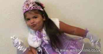 'Happy, always smiling' little girl, 7, died of meningitis after sudden illness