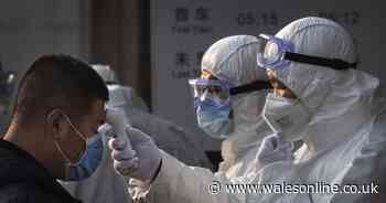Chinese new year event in Swansea cancelled over coronavirus fears