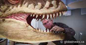 ‘Black Beauty’ and ‘Hellboy’ the dino stars of the Royal Tyrrell Museum
