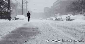 How to walk or drive on ice and snow safely