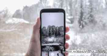 What to do if you drop your phone in the snow