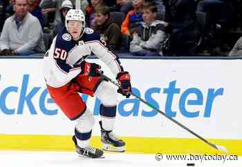 Blue Jackets sign forward Robinson for 2 more years