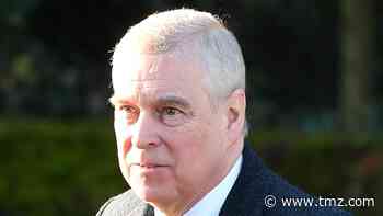 Prince Andrew Providing Feds 'Zero Cooperation' on Jeffrey Epstein Case