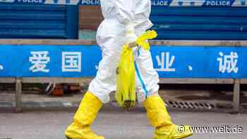 Diese Zahlen zeigen, was nach dem Coronavirus blüht