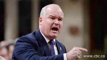 Erin O'Toole launches Conservative leadership bid, promises to be the 'true blue' candidate