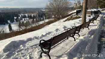 Dozens of memorial plaques stolen from benches in Edmonton's river valley, parks