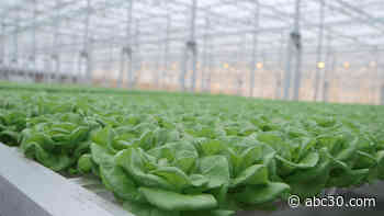 Massive Greenhouse Will Allow This City to Grow Produce Year-Round