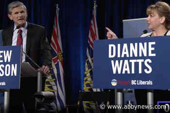 ‘Big money’ funding B.C. politics now mostly from taxpayers