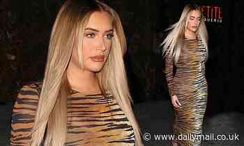 Kylie Jenner's BFF Stassie brings out her wild side in animal print dress for Grammys afterparty