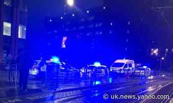 Murder investigation launched after man stabbed in south London
