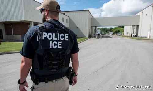 British man dies in US immigration detention in Florida