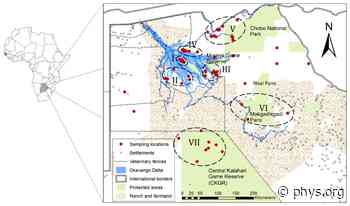 Humans not always to blame for genetic diversity loss in wildlife