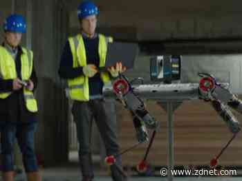 New dog in town? A K9 robot for construction and more