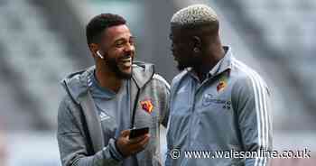 Cardiff City and Anderlecht enquire about Watford striker Isaac Success - reports