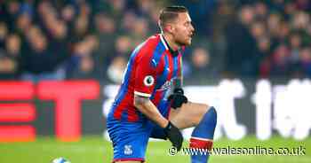 The state of play with Cardiff City's interest in Crystal Palace striker Connor Wickham as Sheffield Wednesday make move