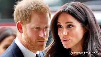 Prince Harry and Meghan Markle 'Shocked' About Losing Commonwealth Roles