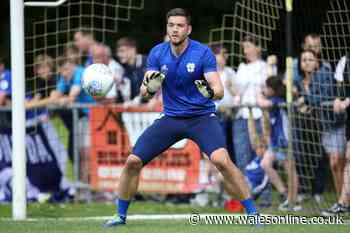 Cardiff City goalkeeper Joe Day seals AFC Wimbledon switch