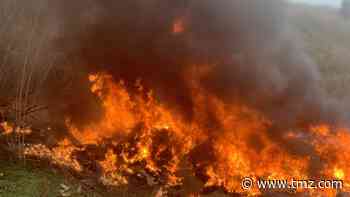 Kobe Bryant Helicopter Crash Site Photos Show Intense Fireball