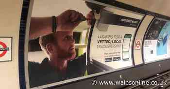 The builder from Brecon people think looks like Prince Harry