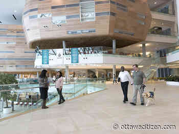 A meaningful mission draws people to CSE