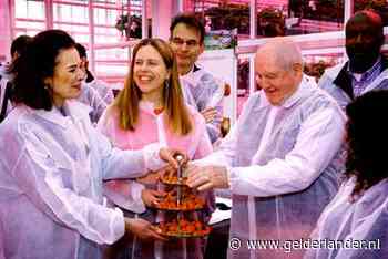 Amerikaanse landbouwminister prijst Nederlandse duurzame kassen: ‘Jullie zijn goed bezig’