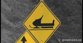 Calgary man killed during snowmobiling trip to Revelstoke, B.C.