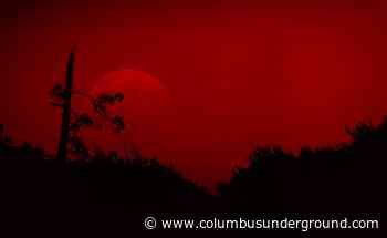 Columbus’ Wicked Ways Exposed