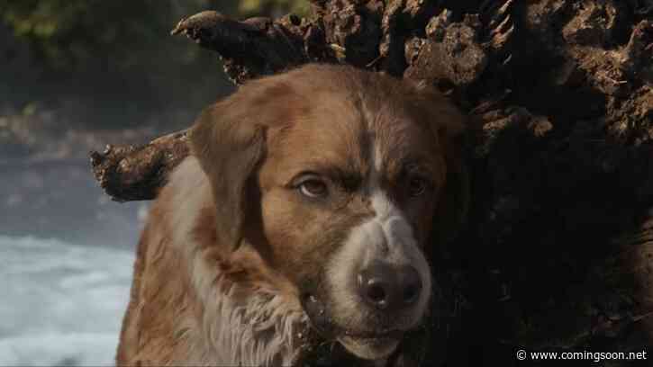 Witness an Epic Journey in The Call of the Wild TV Spot
