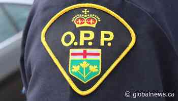 OPP charge Ottawa man for assaulting police officer, resisting arrest on Hwy. 417