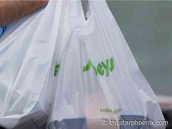 Prince Albert city council backs single-use plastic bag ban