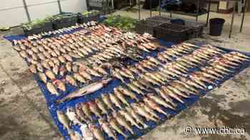 Undercover probe into Alberta fish-trafficking leads to 80 charges against 33 people