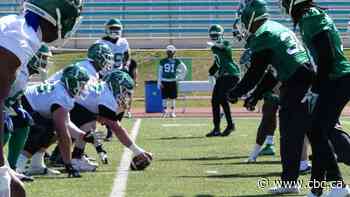 Riders out as new turf set to go in at Griffiths Stadium