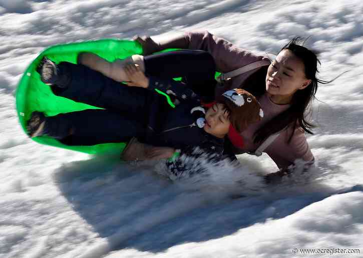 An afternoon in the snow in Lake Forest