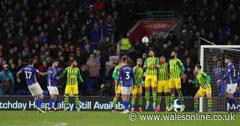 Cardiff City 2-1 West Brom: Lee Tomlin's stunning free-kick helps Bluebirds sink the Baggies