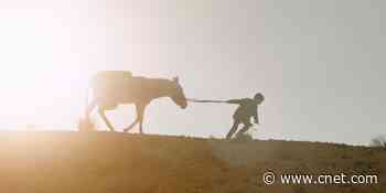 Oscars 2020: All live-action shorts are strong, but this one deserves to win     - CNET