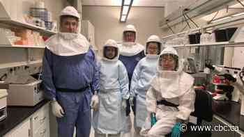 Go inside the high-security lab where scientists search for a coronavirus vaccine