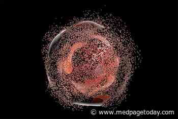 Cellular Apoptosis or Complete Annihilation?