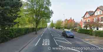 £1m of cannabis seized in Belfast and three men arrested