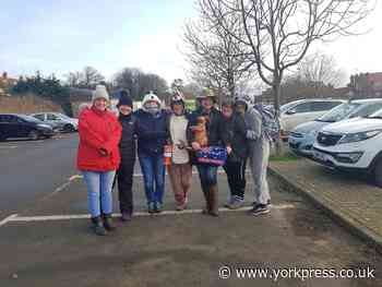 York Australian bush fires fund walk raises £300