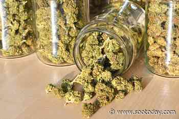 Hello Cannabis announces upcoming store launch in Sault Ste. Marie - SooToday.com