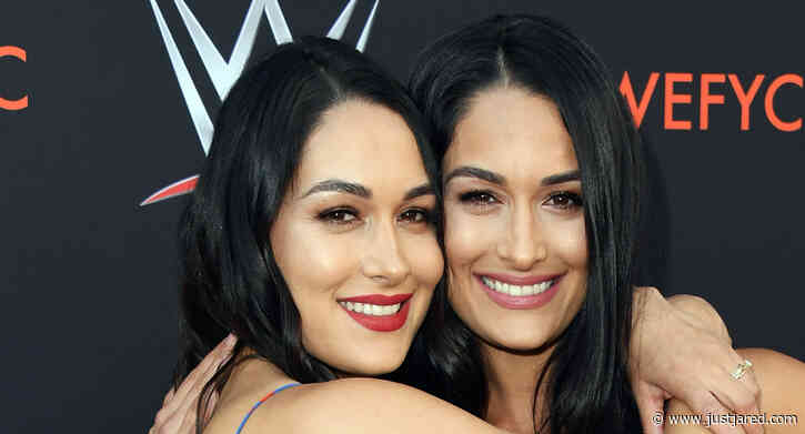 Nikki & Brie Bella Are Both Pregnant & Their Due Dates Are So Close Together!