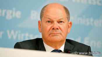 Bon-Flut für Olaf Scholz: Die Wirtschaft macht gegen den Minister mobil - BILD