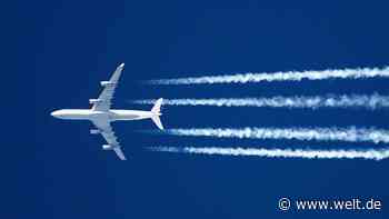 Klimaschutz: Nachhaltigkeit wird für Wirtschaft zur neuen Währung - WELT