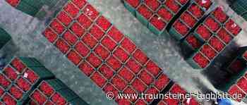 Wirtschaft Südkoreas Wirtschaft mit geringstem Wachstumstempo seit 2009 - Traunsteiner Tagblatt