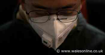 Big Chinese New Year's event cancelled in Swansea due to coronavirus outbreak